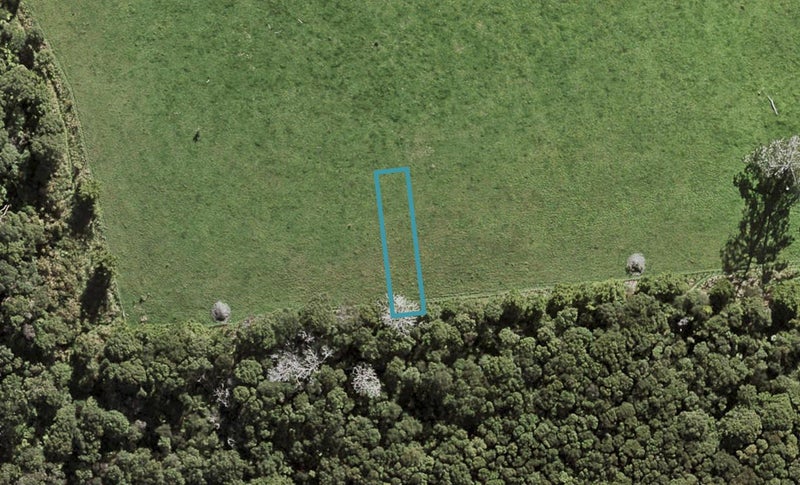 24 Te Aniwaniwa Terrace, Albany, Auckland - Carousel 1