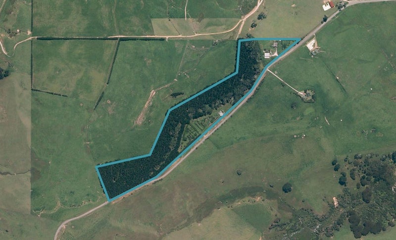 244 Evans Road, Helensville - Carousel 1