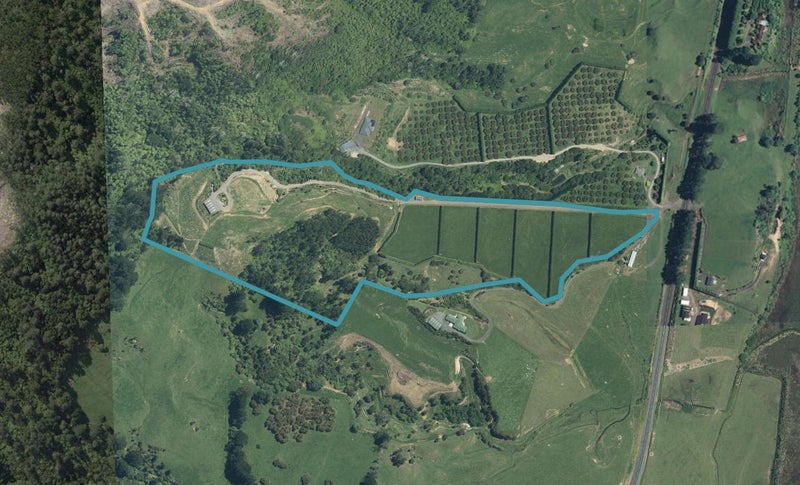 1031B State Highway 2, Tanners Point, Katikati - Carousel 1