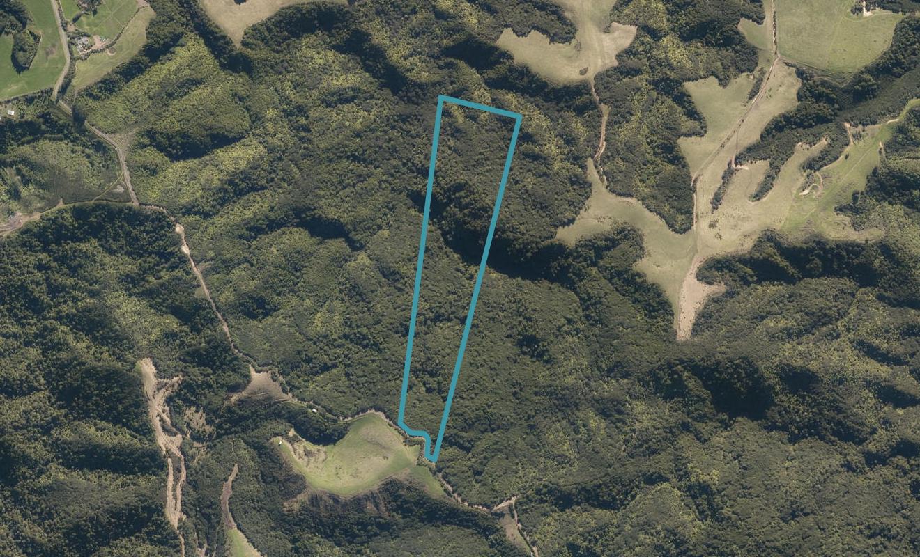 231 McAdam Road, Waipu, Waipu - Carousel 1