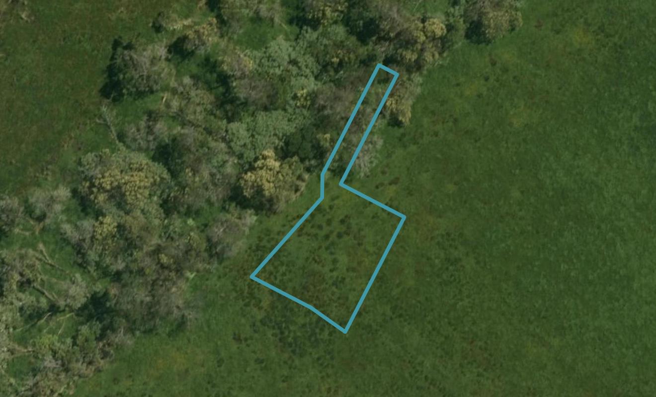 8 Maturiki Drive, ONE TREE POINT, WHANGAREI - Carousel 1