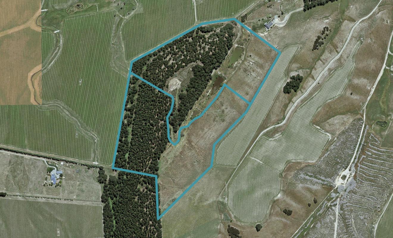 669 State Highway 63, Renwick, Blenheim - Carousel 1