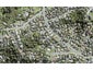 34B Ian Sage Avenue, Torbay, Auckland - Carousel 1