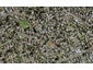 29C Smedley Street, Manurewa, Auckland - Carousel 1