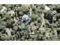 34 Raroa Terrace, Waiatarua, Auckland - Carousel 1