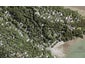 79 Otitori Bay Road, Titirangi, Auckland - Carousel 1