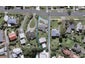 2/14 Skinner Street, Blagdon, New Plymouth - Carousel 1