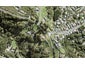 116 Wade River Road, Stanmore Bay, Whangaparaoa - Carousel 1