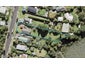 181 Kauri Road, Whenuapai, Auckland - Carousel 1