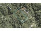2/190 Lonely Track Road, Dairy Flat - Carousel 1