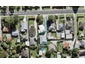27A Waipani Road, Te Atatu Peninsula, Auckland - Carousel 1