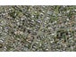 41F Shortt Avenue, Mangere Bridge, Auckland - Carousel 1