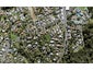 18A Gilfillan Street, Blockhouse Bay, Auckland - Carousel 1