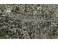 39C Target Road, Totara Vale, Auckland - Carousel 1