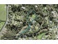10 Hobbs Road, Matakatia, Whangaparaoa - Carousel 1
