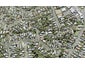 5C Orne Street, Torbay, Auckland - Carousel 1