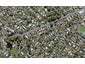 810C New North Road, Mount Albert, Auckland - Carousel 1
