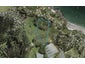 1F Sea View Road, Ostend, Waiheke Island - Carousel 1