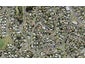 21C Crosby Road, West Harbour, Auckland - Carousel 1