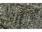 11 Coronation Road, Epsom, Auckland - Carousel 1