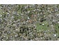 42A Church Road, Mangere Bridge, Auckland - Carousel 1