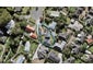 20 Horton Avenue, Avondale, Auckland - Carousel 1