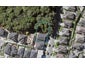 40 Terrasini Drive, Flat Bush, Auckland - Carousel 1