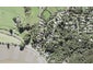 13 Upland Road, Huia, Auckland - Carousel 1