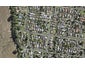 31E McLeod Road, Weymouth, Auckland - Carousel 1