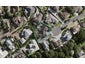 15 Kumar Place, The Gardens, Auckland - Carousel 1