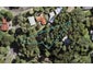 2 Waerenga Place, Titirangi, Auckland - Carousel 1