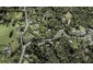 148 The Avenue, Lucas Heights, Auckland - Carousel 1