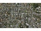 44 Benson Road, Remuera, Auckland - Carousel 1