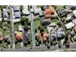 31 Bolton Street, Blockhouse Bay, Auckland - Carousel 1