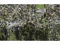 366B Hillsborough Road, Hillsborough, Auckland - Carousel 1