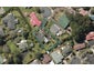 9 Le Ruez Place, Maunu, Whangarei - Carousel 1