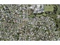 1B Ennis Avenue, Pakuranga Heights, Auckland - Carousel 1