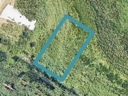 14 Triplefin Avenue, OMOKOROA