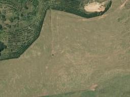 526 Lund Road, Aongatete, Aongatete
