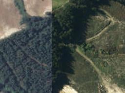 5 Murphys Way, Mapua, Māpua