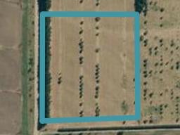 130 Caldwell Road, Ongaonga, Ongaonga