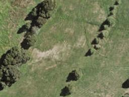 49 Stableford Crescent, Ōpaheke, Papakura