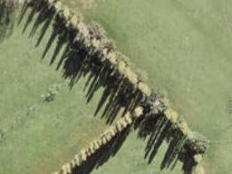 25 Mataikokako Loop, Kawakawa Bay, Kawakawa Bay