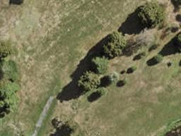 123 Waituarua Drive, Takanini, Auckland