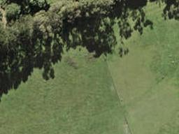 203 Henwood Road, Westgate, Auckland
