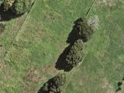 4 Stableford Crescent, Ōpaheke, Papakura