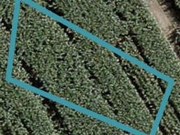 7 Whata Street, Clarks Beach, Clarks Beach