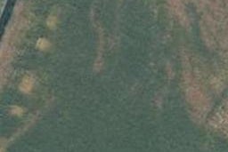 22 Wai Whatu Street, Meeanee, Napier