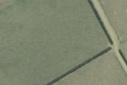 11 Werewere Street, Morrinsville, Morrinsville