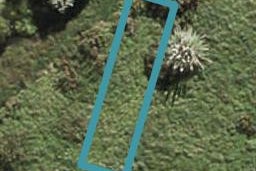 8 Tuaiwi Street, Manukau, Auckland
